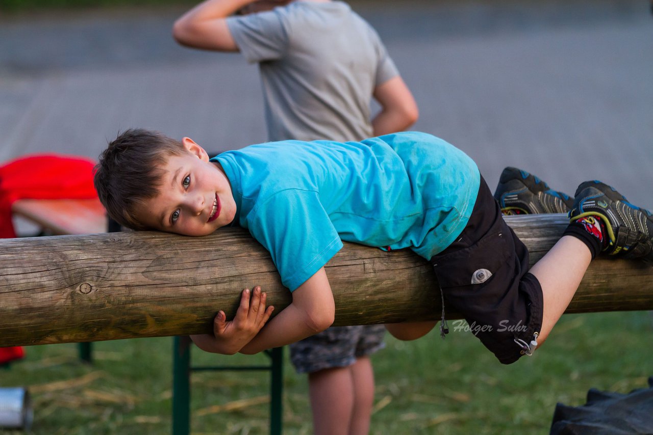 Bild 190 - Wiemersdorfer Maibaum